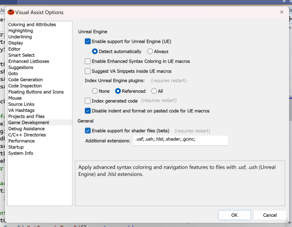 Enable Visual Assist Shader Support