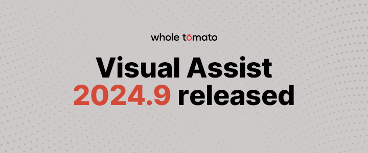 Visual Assist 2024.9 released!