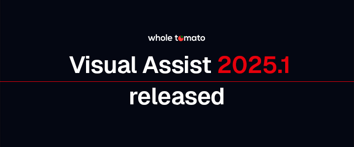 Visual Assist 2024.9 released!