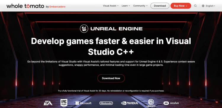Visual Assist for Unreal Engine