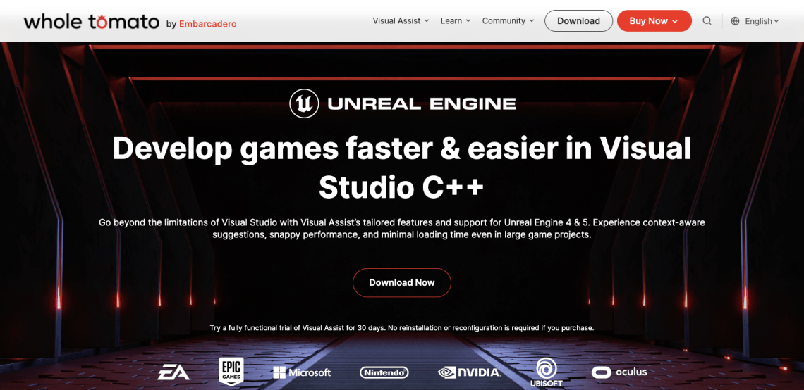 Visual Assist for Unreal Engine
